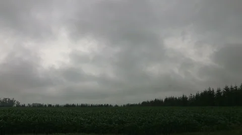 Ominous dark storm clouds on the horizon, black clouds, cumulonibus clouds Stock Footage 40684908