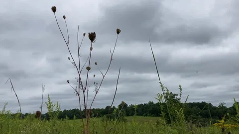 Ominous Sky Stock Footage 286761467