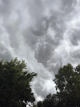 Ominous Storm Clouds Over Tree Line Stock-Fotos