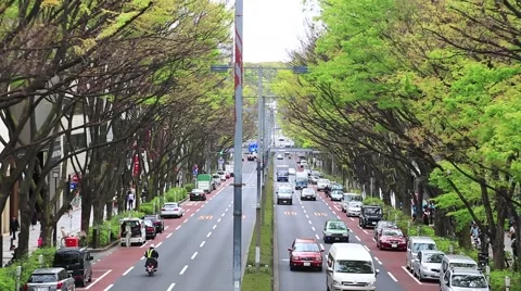 Omote-sando Dori Video stock 47804016