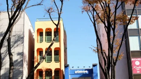 OMOTESANDO STREET Stock Footage 84840268