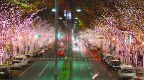 Omotesando tilt-shift &amp; time-lapse. Video stock 11207525