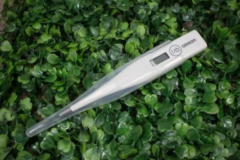 Omron Digital Thermometer Stock Photos