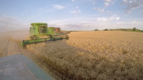 Onboard View of Combines Cutting Wheat Vídeo Stock 60040151