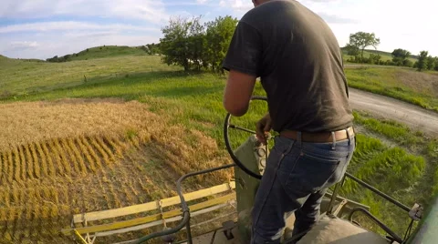 Onboard View of Old Fashioned Combine Harvesting Wheat (Kansas USA) Vídeo Stock 61739353