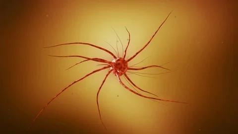 Oncology. Mutating cell (virus of zika, virus of ebola, AIDS). 3D animation Stock Footage 80336043