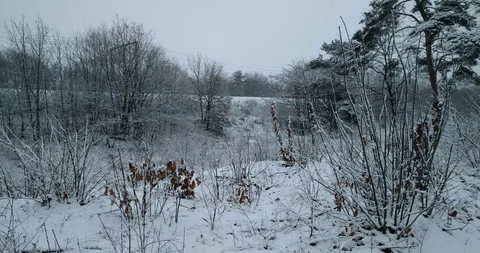 Oncoming train Dutch Railways in winter landscape Stock Footage 102448382