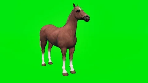 One 3D animated horse isolated on a green screen. Perfect for VFX Video stock 329596246