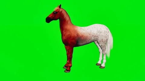 One 3D animated horse isolated on a green screen. Perfect for VFX Video stock 329596348