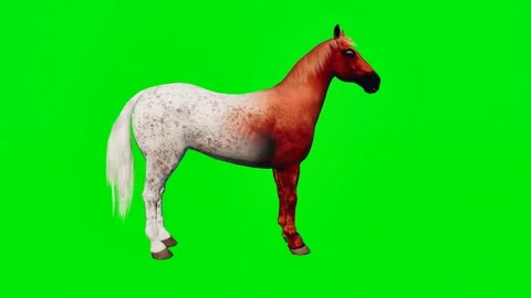 One 3D animated horse isolated on a green screen. Perfect for VFX Stock Footage 329596354