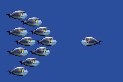 One against all Stock Illustration