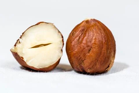 One and Half Hazelnut Close Up Stock Photos