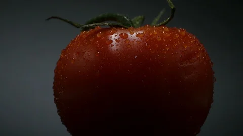 One appetizing ripe tomatoes on a mirror black background. Rotating table 動画素材 108826974