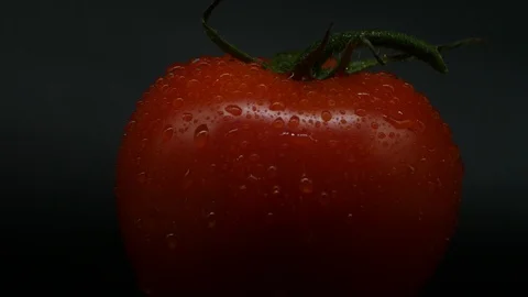 One appetizing ripe tomatoes on a mirror black background. Rotating table 動画素材 108827397