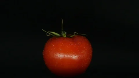 One appetizing ripe tomatoes on a mirror black background. Rotating table 動画素材 108827426