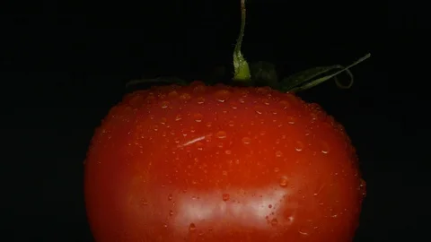 One appetizing ripe tomatoes on a mirror black background. Rotating table 動画素材 108827603