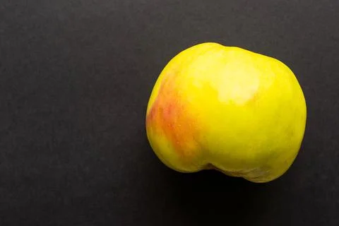 One apple closeup on a dark background Foto stock