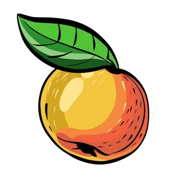 One apple with a leaf, orange and yellow, speckled. Illustration a hand-drawn Stock Illustration