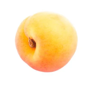One apricot. 스톡 사진