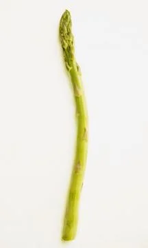 One Asparagus Stock Photos