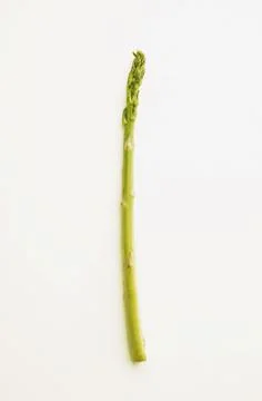One Asparagus Stock Photos