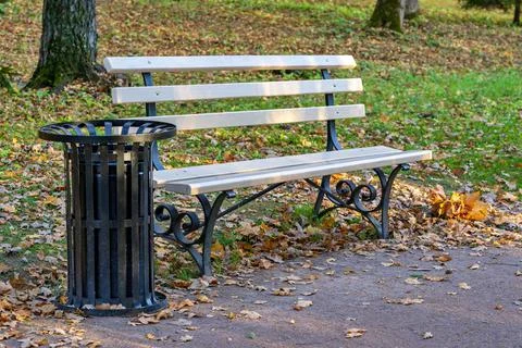 One bench in the park Foto stock