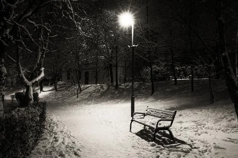 One bench in the park in winter night Stock Photos
