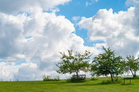 One bench with young trees in a cloudy sky background. Stock Photos