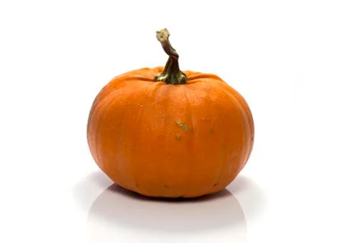 One big orange pumpkin Stock Photos