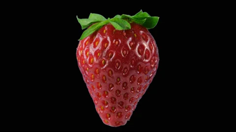 One big red ripe strawberry, transparent background, looped rotation Stock Footage 86547251
