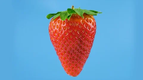 One big red strawberry, looped rotation, blue background ready for keying Stock Footage 86547272