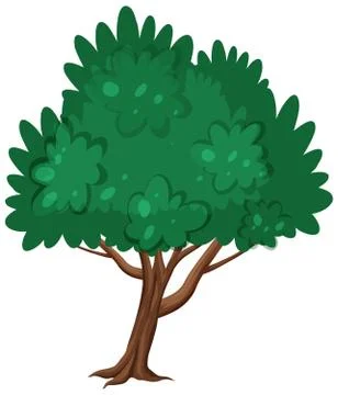 One big tree on white background Stock Illustration