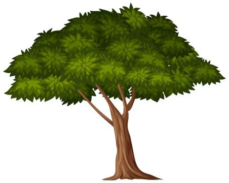 One big tree on white background Stock Illustration