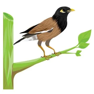 One bird on branch on white background vector design Stock Illustration