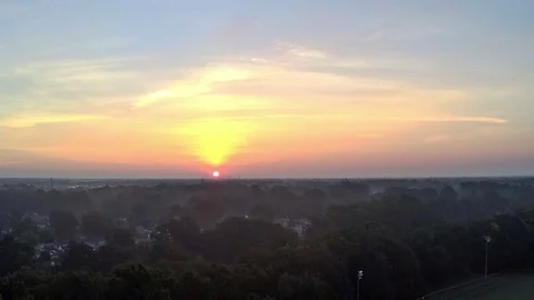 One of the Birds Stock Footage 94151310