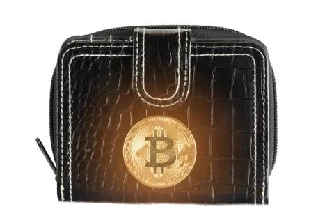 One bitcoin on purse. Stock Photos