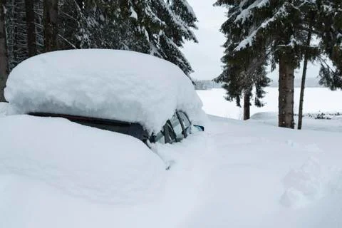 One blue car under the driven snow in the mountain among the pine trees. Sele Stock Photos
