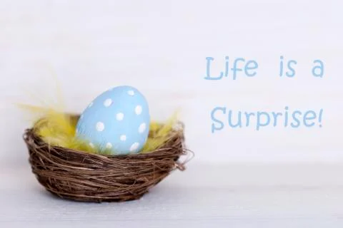 One blue easter egg in nest with life quote life is surprise Foto stock