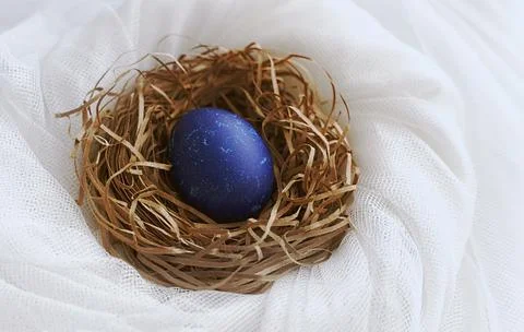 One Blue Easter egg in paper nest on white fabric. Minimal style Фото