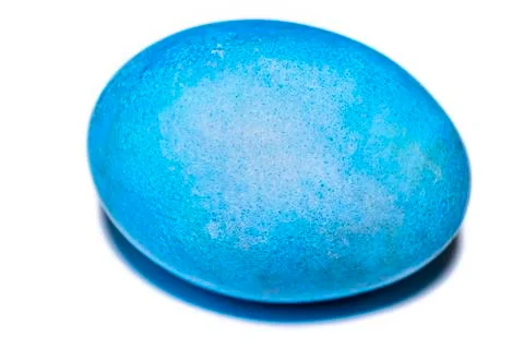 One blue egg Stock Photos