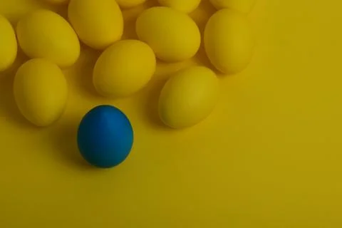 One blue painted Easter egg stands in front of yellow eggs Stock Photos