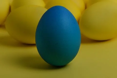 One blue painted Easter egg stands in front of yellow eggs Stock-Fotos
