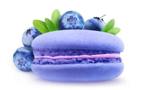 One blueberry flavored macaroon in front of pile of blueberries isolated on.. Stock Photos