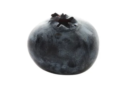 One blueberry Stock Photos