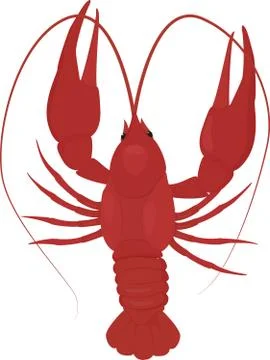 One boiled red crayfish, crawfish Illustrazione stock
