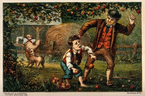One boy is caught by an irate farmer while stealing his apples from the orc.. Stock Illustration