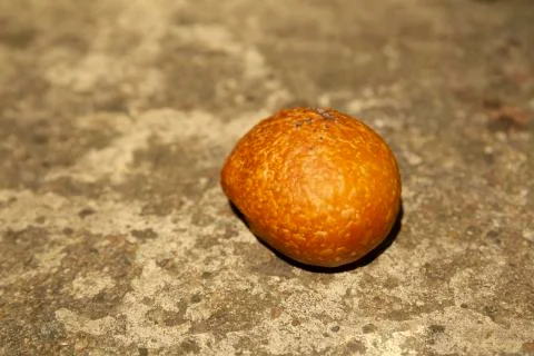 One bread background, selective focus Stock Photos