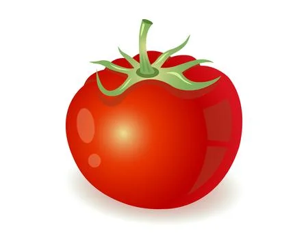 One bright red tomato with a stem. Stock Illustration