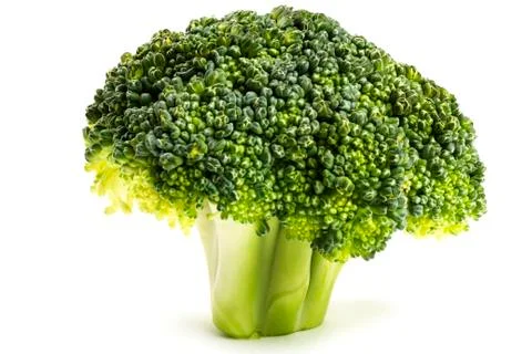 One broccoli on white Stock Photos