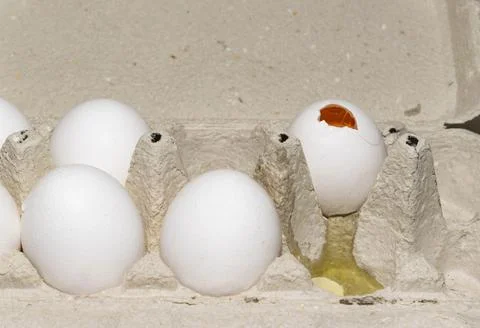 One broken egg in an egg tray Stock Photos